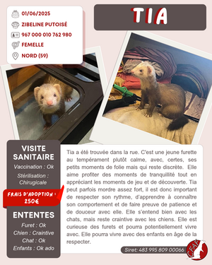 Adopter Tia