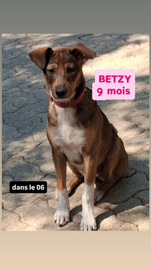 Adopter Betsy