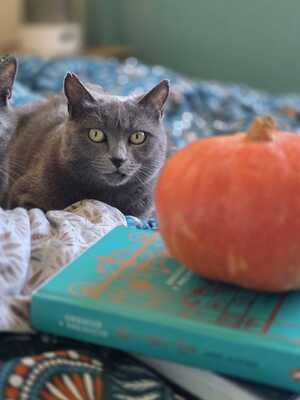 Adopter Taya