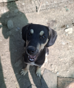 Adopter Indila