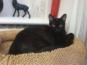 Adopter Marie-Oceane 