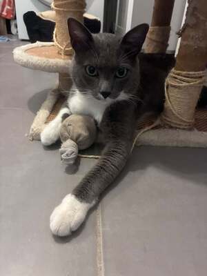 Adopter Doumé