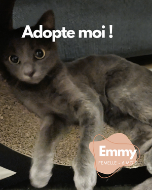 Adopter Emmy