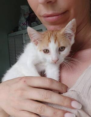Adopter BLOOM