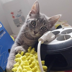 Adopter SONIC