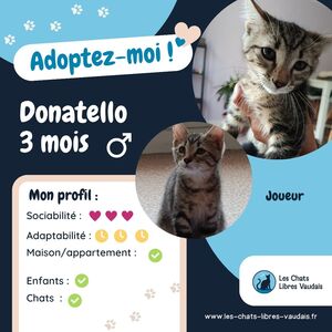 Adopter Donatello
