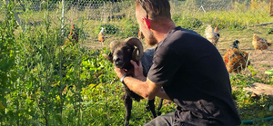 Adopter Bélézebuth