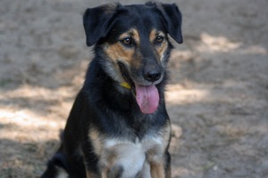Adopter Youri