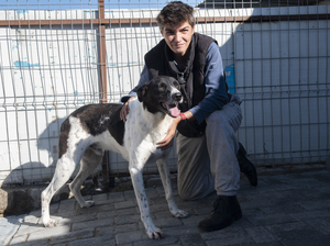 Adopter : Tropico