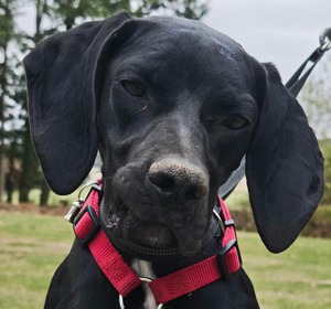 Adopter : Mabelle