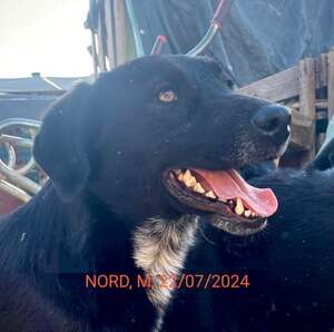 Adopter : NORD