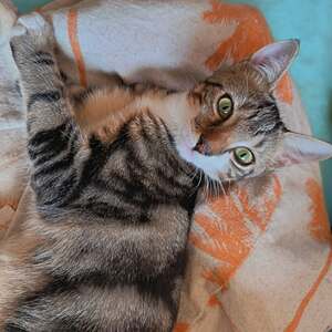 Adopter : Magda