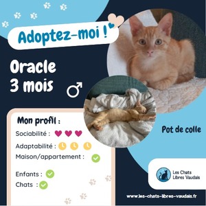 Adopter : Oracle