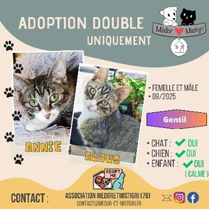 Adopter : Annie et albus