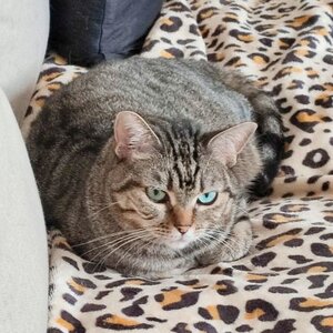 Adopter : Canelle
