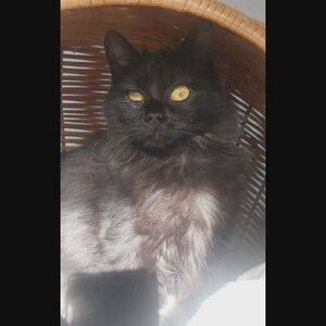 Adopter : Loucha
