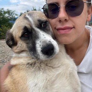 Adopter : BULLA