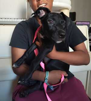 Adopter : Mimi