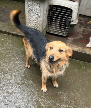 Adopter : Issa