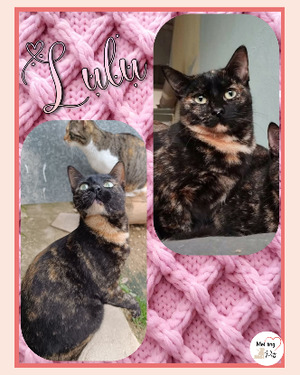 Adopter : Lulu