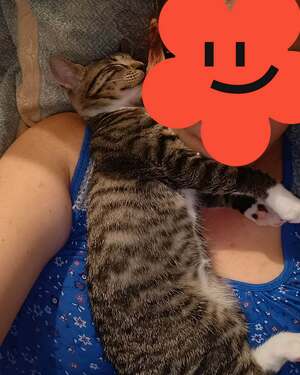 Adopter : BOGOSS