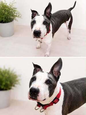 Adopter : Oslo