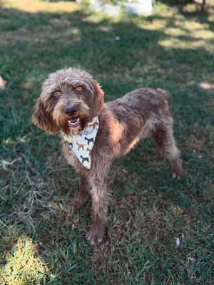 Adopter : NUCAH