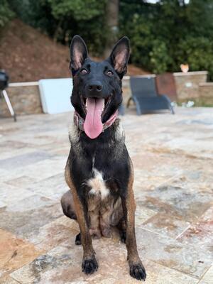 Adopter : Bianca