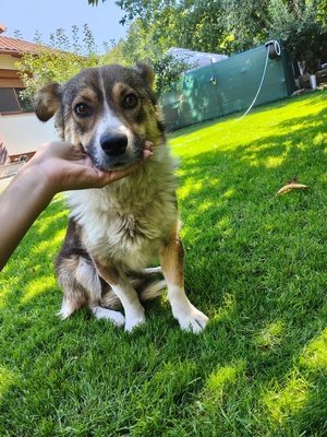 Adopter : Kina