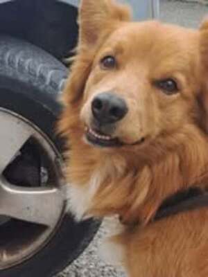 Adopter : Tchuss