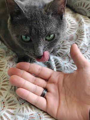 Adopter : Tael