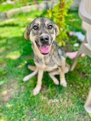 Adopter : Graphite