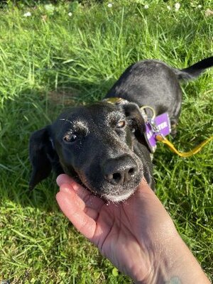 Adopter : Tania