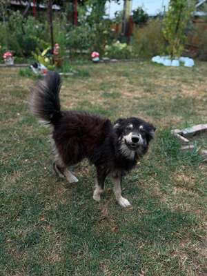 Adopter : Blanquette