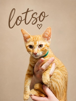 Adopter : Lopso
