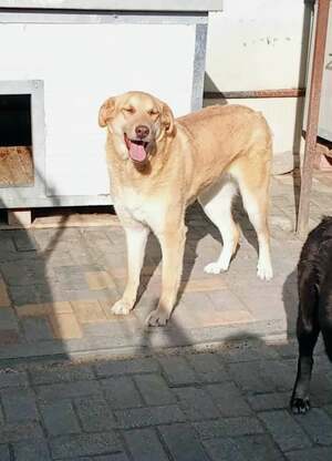 Adopter : Xendra