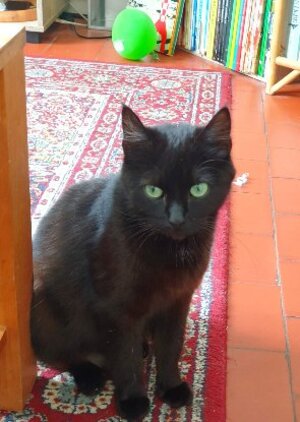 Adopter : Gloria