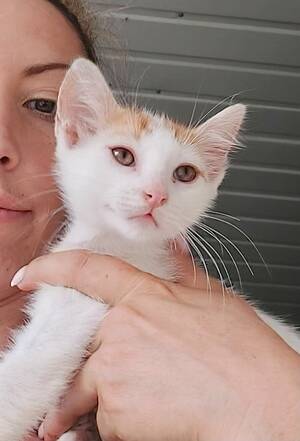 Adopter : NINA