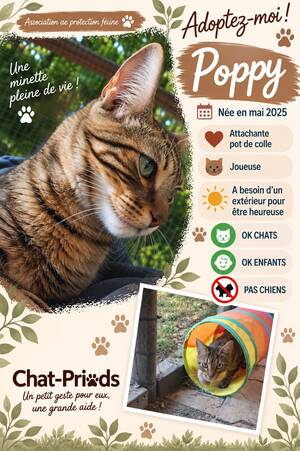 Adopter : Poppy 