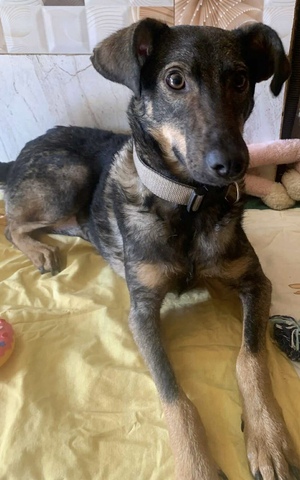 Adopter : Jeffa