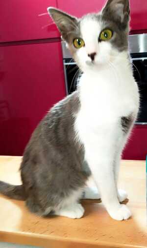 Adopter : Leti
