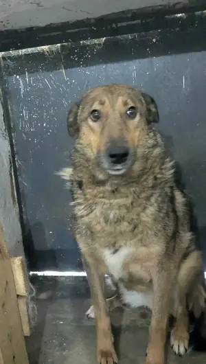Adopter : Namibia