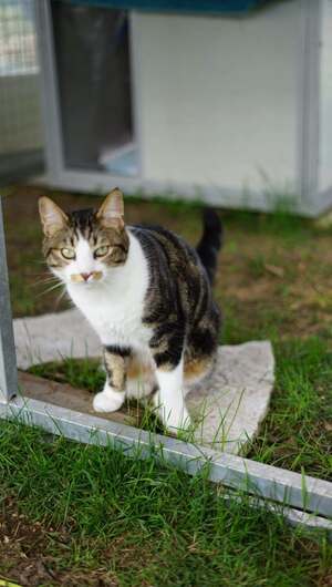 Adopter : Mystere