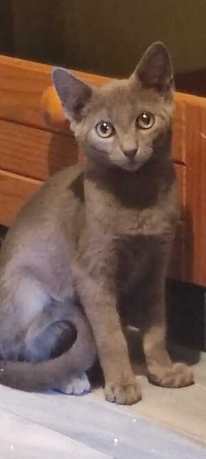 Adopter : Mel