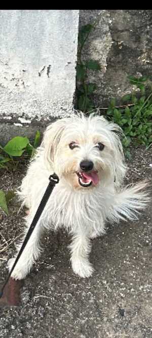 Adopter : BELLA