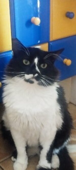 Adopter : Eros