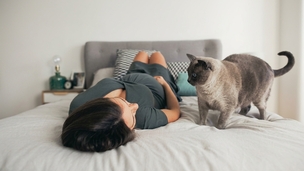 Grossesse et toxoplasmose : faut-il vraiment se méfier de son chat ?