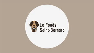 Les meilleurs sites internet pour trouver des vacances avec son animal