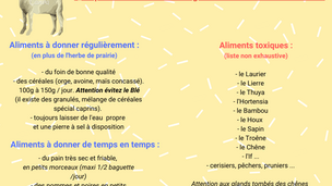 Les aliments pour les chèvres