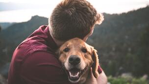 Comment faire face au décès de son animal ?